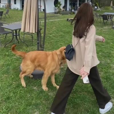 兰德的激情 在线观看